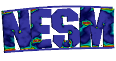 NESM Logo