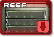 Reef is currently Down.