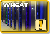 Wheat is currently running in a degraded state.
