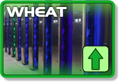 Wheat is currently Up.