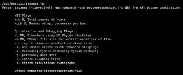 screenshot of iscampi -h output